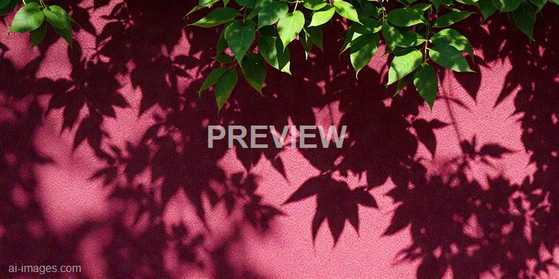 freepik__leaves-shadow-and-tree-branch-background-natural-l__13174_251009140004_00001