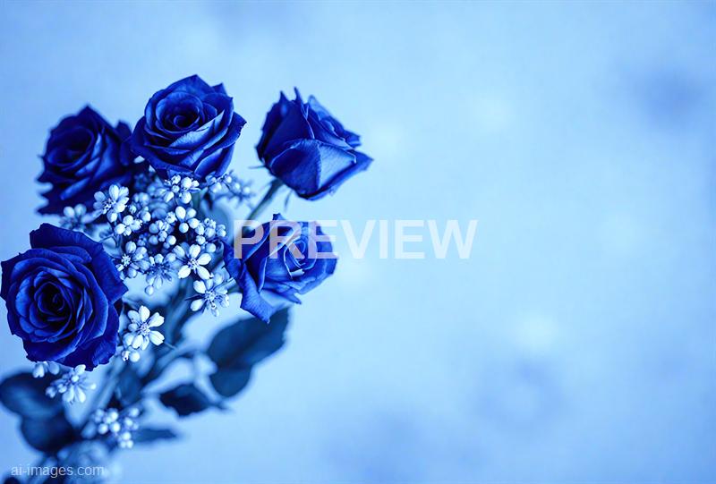 freepik__dark-blue-roses-flowers-bouquet-on-light-dark-blue__47930_250930005611_00001