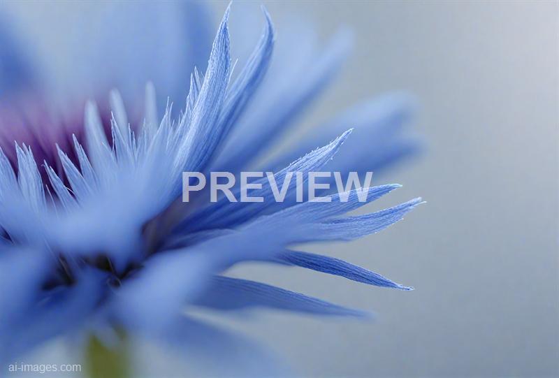 freepik__closeup-of-a-cornflower-blue-linen-texture-soft-na__17967_250928021848_00001