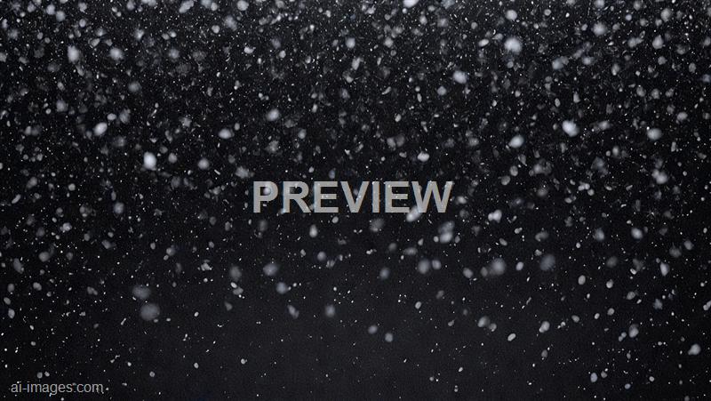 freepik__real-snow-snowing-on-black-background-in-cold-wint__75156_250525211412_00001