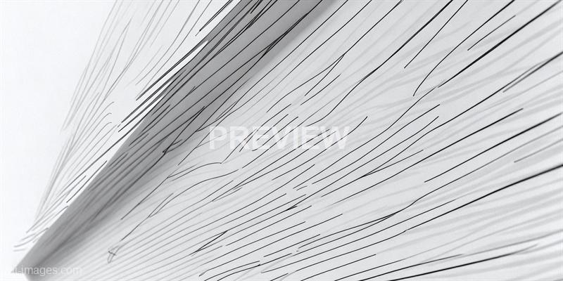 freepik__sketch-lines-blinds-shade-on-a-white-wall-backgrou__33712_250520101852_white_00001
