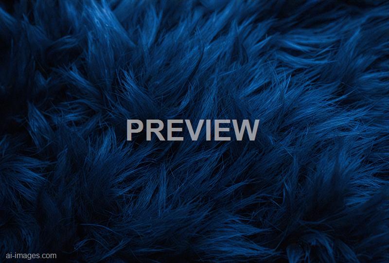 freepik__dark-blue-fur-texture-close-up-dark-blue-fluffy-fu__47859_250930001251_00001