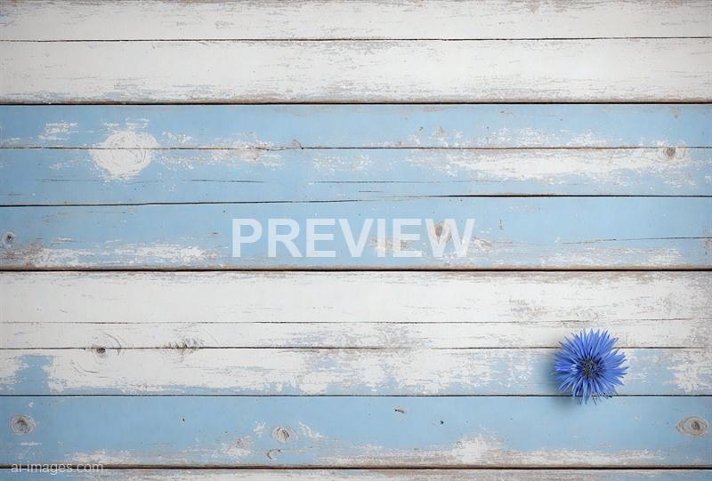 freepik__old-white-painted-exfoliate-rustic-bright-light-wo__38756_250928091309_00001