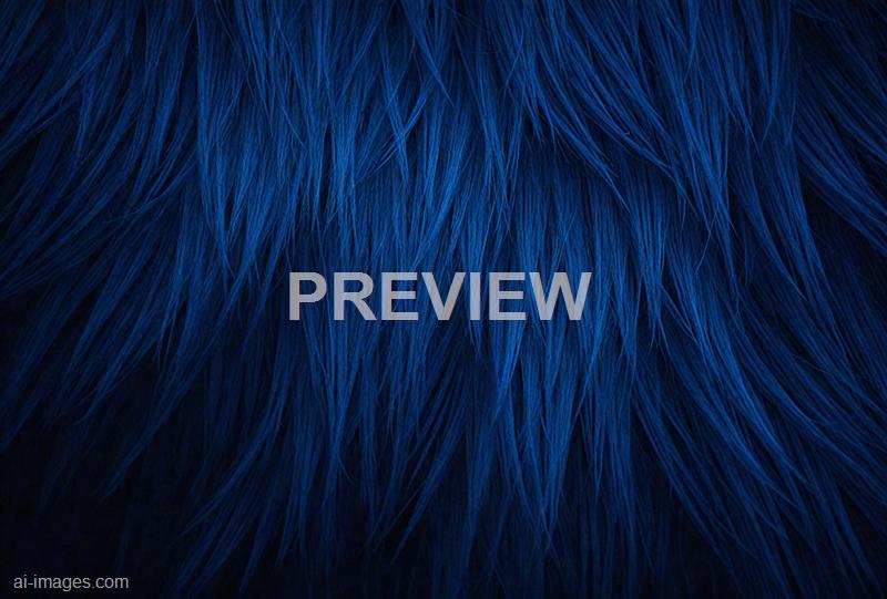 freepik__dark-blue-fur-texture-close-up-dark-blue-fluffy-fu__47858_250930001245_00001