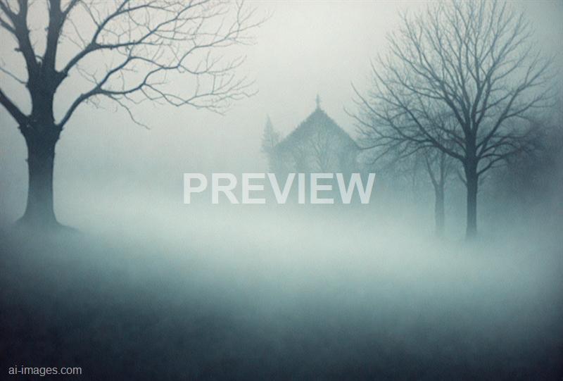 freepik__dark-and-mysterious-white-paper-texture-dark-shado__34028_250519094059_white_00001