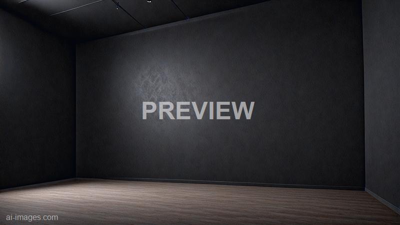 freepik__black-wall-or-blank-interior-texture-and-studio-ro__11910_250525030701_00001