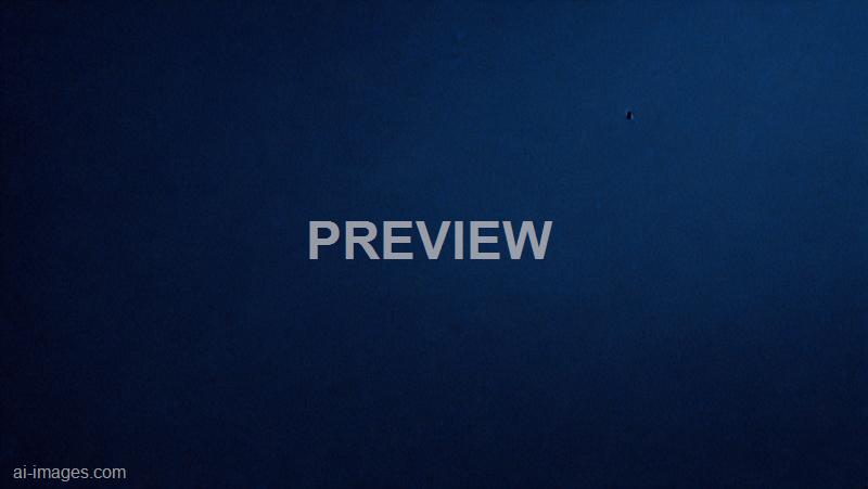 freepik__dark-blue-background-at-the-wedding__42278_250929163218_00001