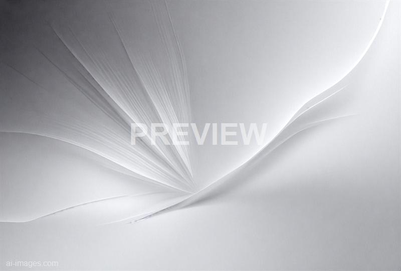 freepik__abstract-white-and-silver-are-light-pattern-gray-w__39889_250928020052_00001