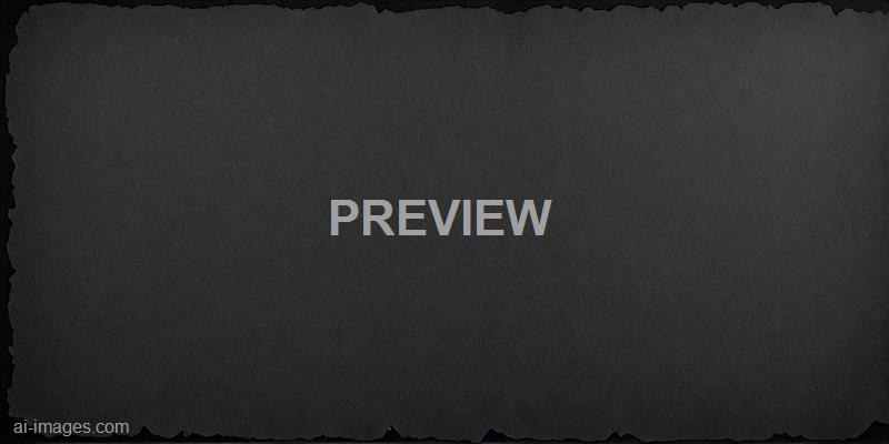 freepik__black-paper-texture-page-of-the-old-photo-album__74937_250524225406_00001