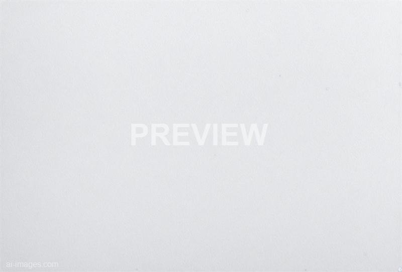 freepik__white-paper-texture-clean-corn-flower-background__43995_250928094201_00001