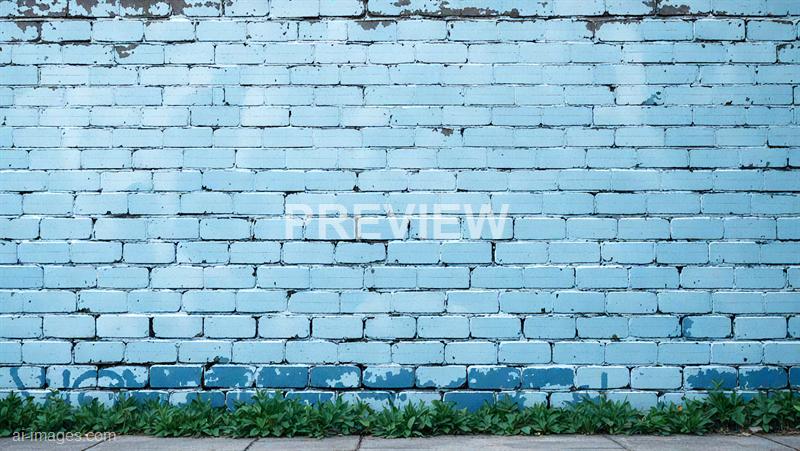 freepik__a-simple-grungy-corn-flower-blue-brick-wall-with-l__56367_250928012619_00001