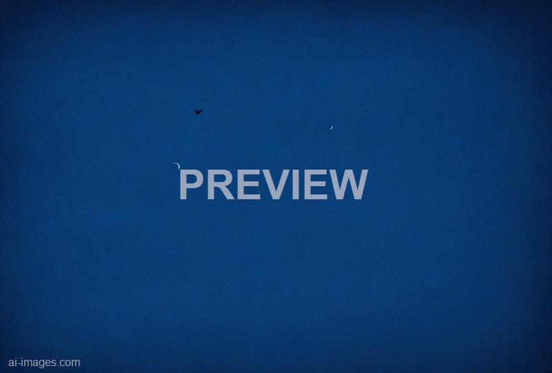 freepik__dark-blue-painted-background-texture__42953_250930003758_00001