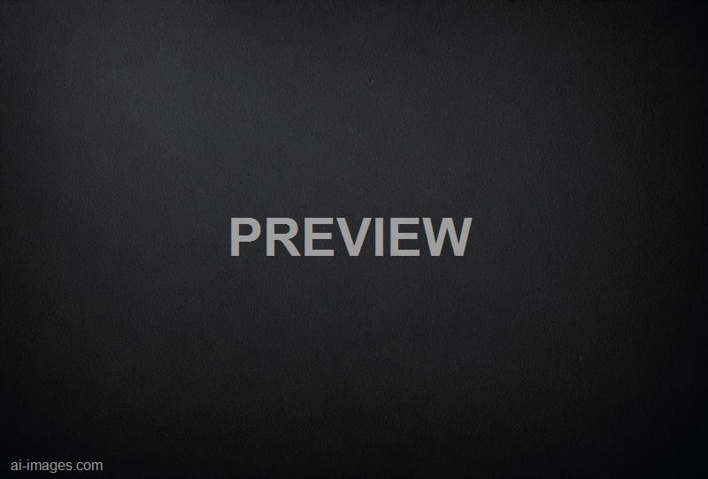 freepik__elegant-black-background-with-faint-lighting-accen__98567_250525121208_00001