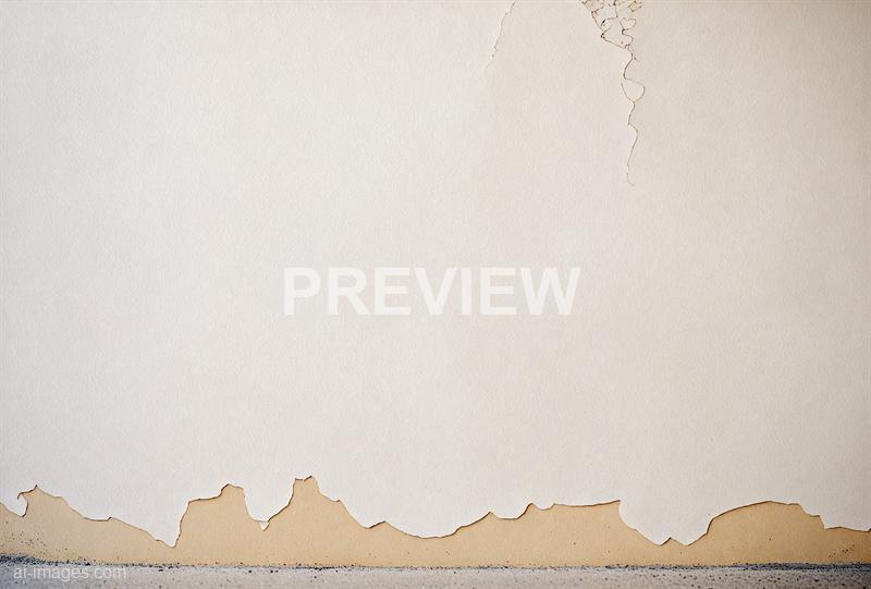 freepik__70s-white-plastered-wall-background-style-photogra__75152_250520171028_white_00001