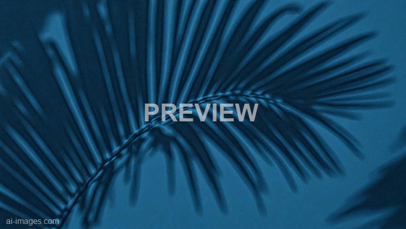 freepik__abstract-vertical-dark-blue-background-of-the-shad__47827_250929081627_00001