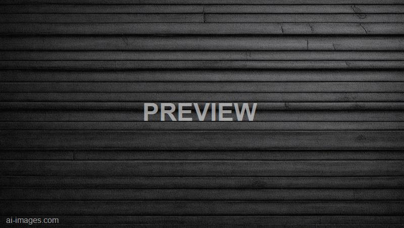 freepik__black-wood-plank-widescreen-texture-bamboo-slat-da__35951_250525031134_00001