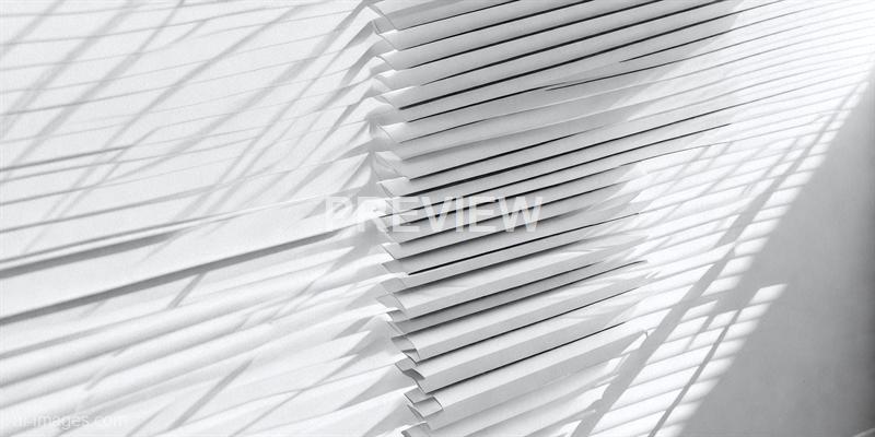freepik__sketch-lines-blinds-shade-on-a-white-wall-backgrou__33714_250520101858_white_00001