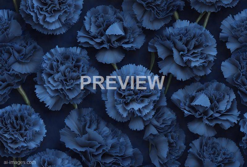 freepik__dark-blue-carnations-floral-background__41338_250929165201_00001