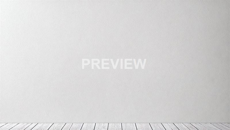 freepik__plain-blank-white-plastered-wall-background-white-__75179_250520101117_white_00001