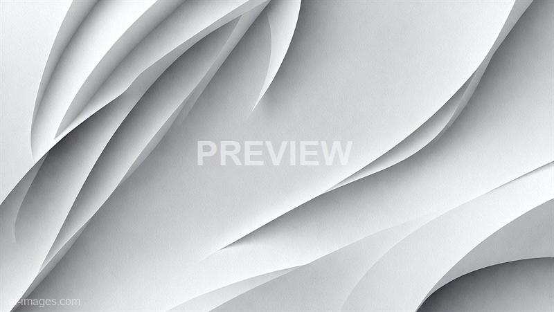 freepik__plain-blank-abstract-white-monochrome-vector-backg__73488_250520062110_white_00001