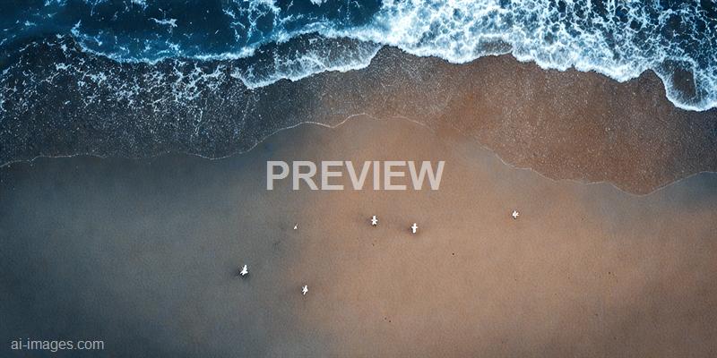 freepik__seascape-with-seagulls-on-dark-blue-a-sandy-beach-__47699_251002095422_00001