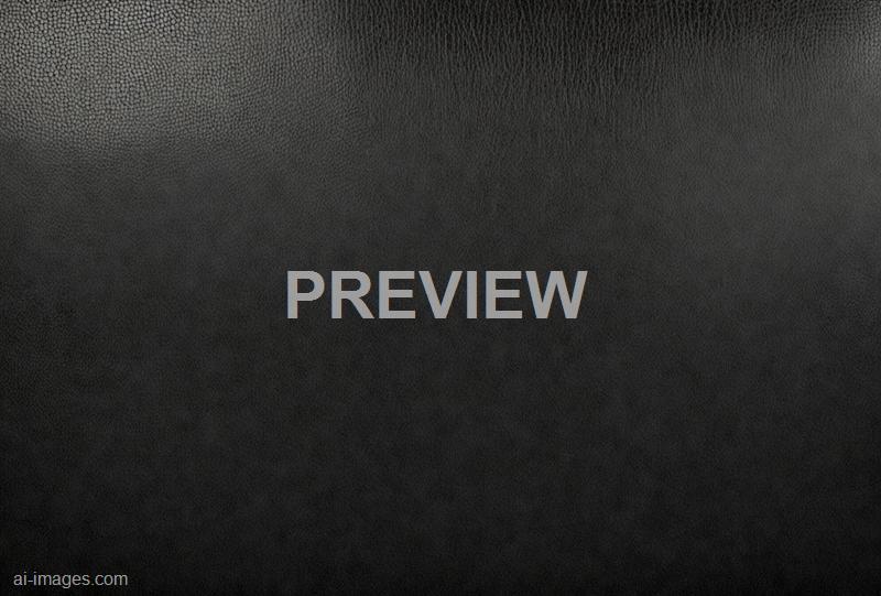 freepik__panorama-of-black-leather-texture-and-background__11717_250525210302_00001