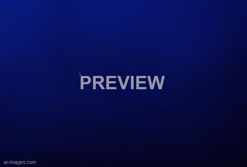 freepik__dark-blue-painted-background-texture__42954_250930003804_00001