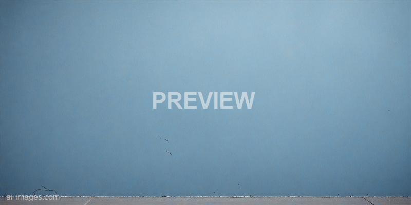 freepik__dark-blue-pastel-color-paint-on-cement-wall-textur__41125_250930004909_00001