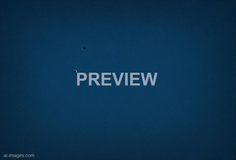 freepik__dark-blue-paper-texture-background__47831_250930004507_00001