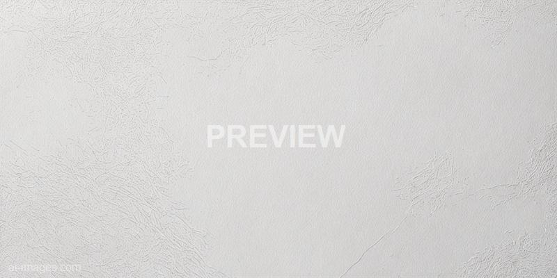 freepik__modernist-style-blank-white-grunge-cement-wall-tex__74830_250519220113_white_00001