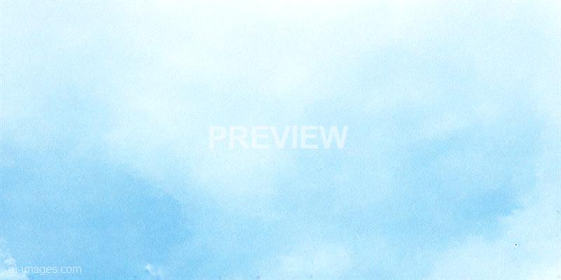 freepik__the-style-is-soft-plain-illustration-with-fluid-pa__34758_250526083627_00001