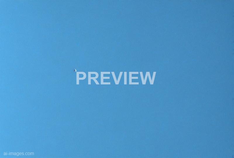 freepik__white-leather-cornflower-blue-background-panorama__55858_250928094108_00001