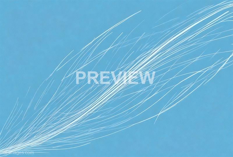 freepik__sketch-lines-blue-background-vector-illustration-l__35873_250526081129_00001