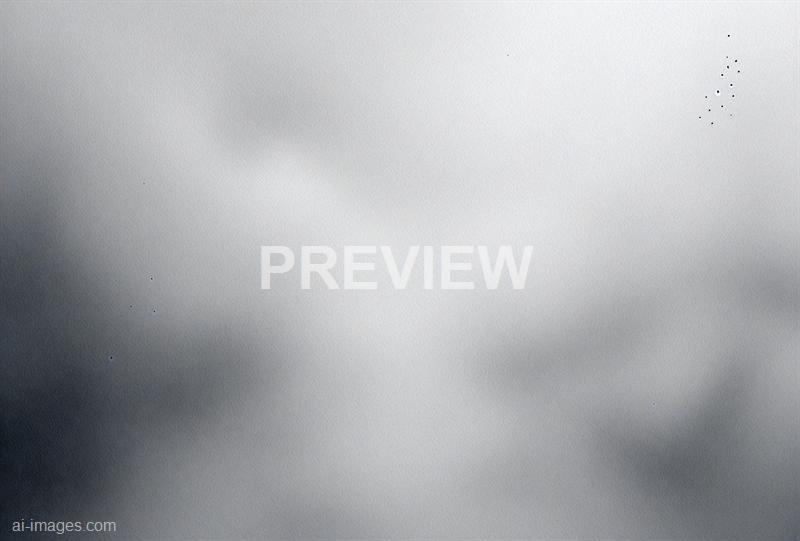 freepik__dark-and-mysterious-modern-halftone-white-and-grey__73644_250519093321_white_00001