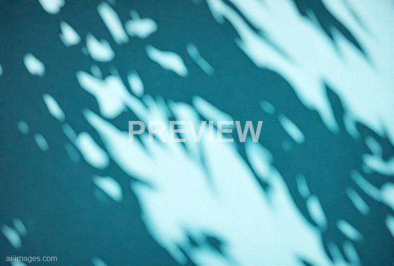 freepik__the-style-is-candid-image-photography-with-natural__82654_250928092930_00001