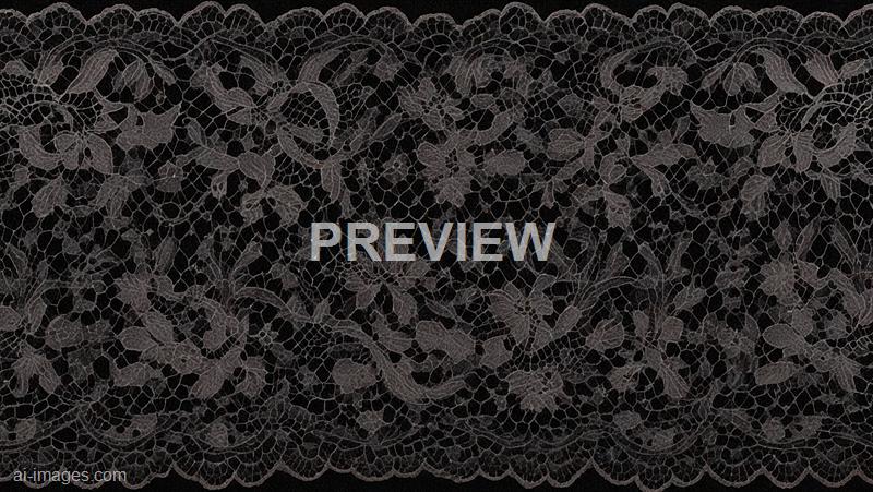 freepik__black-lace-on-black-background__98224_250524223047_00001