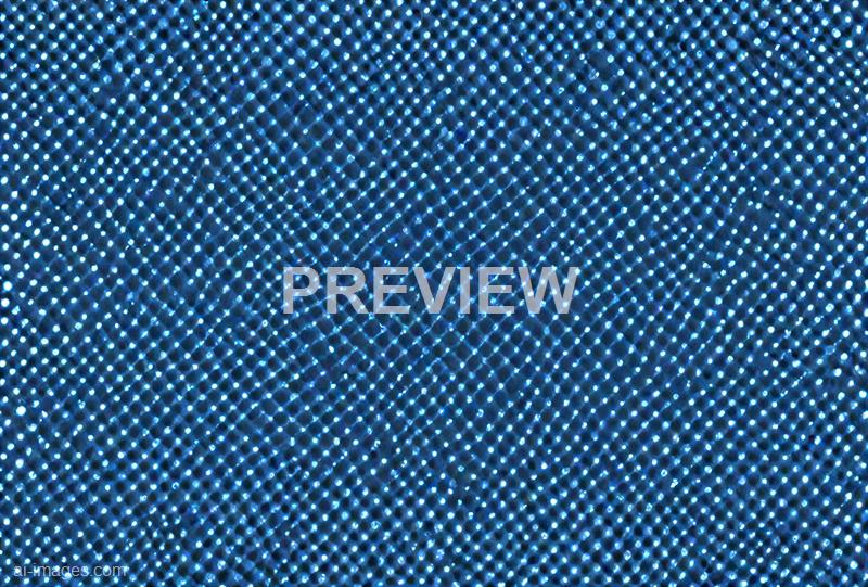 freepik__black-and-white-dotted-halftone-cornflower-blue-ba__49485_250928020737_00001