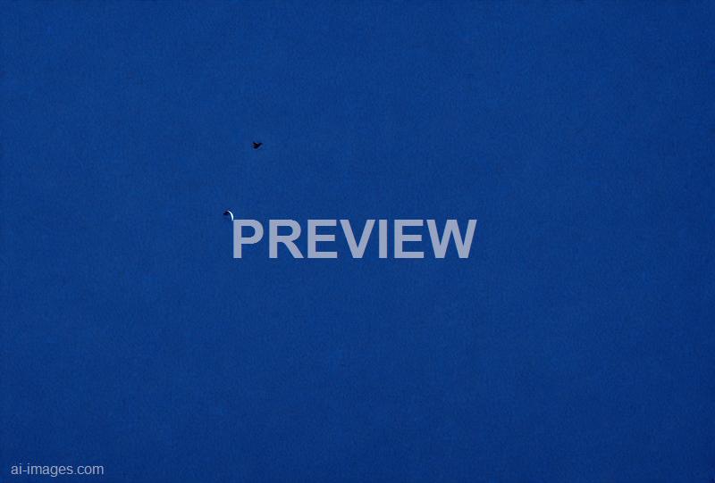 freepik__dark-blue-paper-texture-background__47830_250930004500_00001