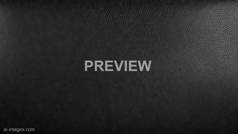freepik__panorama-of-black-leather-texture-and-background-c__11682_250525210249_00001