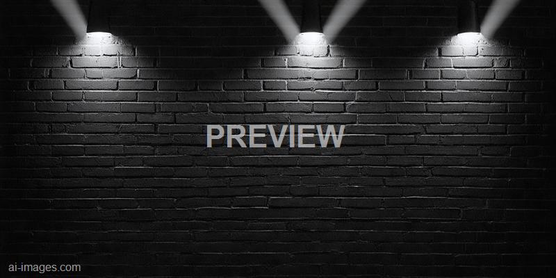 freepik__abstract-image-of-spot-lighting-with-black-brick-w__11385_250524092141_00001