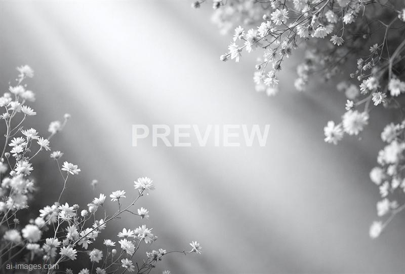 freepik__the-style-is-candid-image-photography-with-natural__22169_250928092412_00001