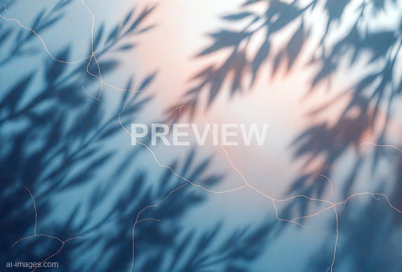 freepik__cot-abstract-natural-leaves-shadow-blur-background__13072_00000