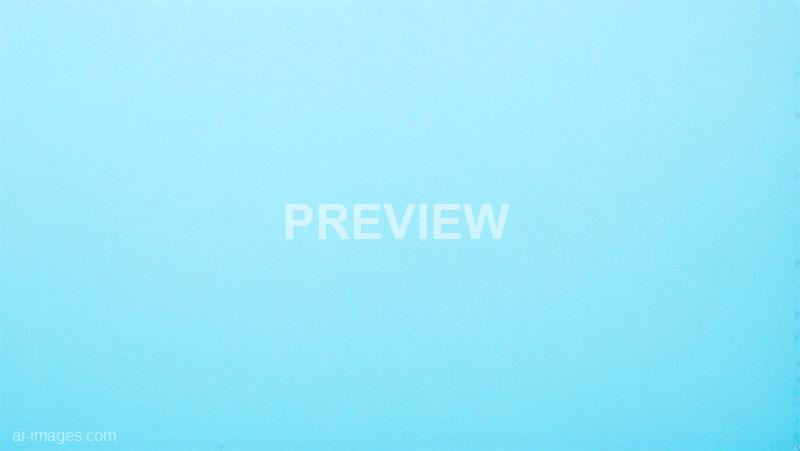 freepik__blank-corn-flower-blue-paper-texture-background__42422_250928020917_00001