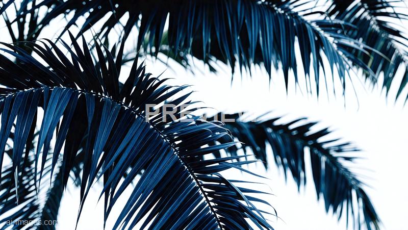freepik__dark-blue-palm-leaves__40940_250930003943_00001