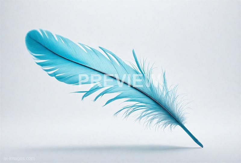 freepik__a-cyan-feather-floating-gently-above-white-backdro__14223_250928175957_00001