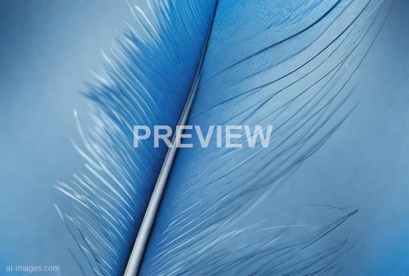 freepik__macro-abstract-of-blue-feather__90014_250525095020_00001