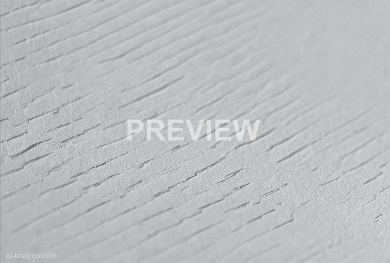 freepik__photo-posted-to-myspace-in-2007-white-paper-textur__84330_250520055824_white_00001