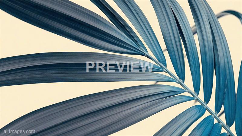 freepik__dark-blue-palm-leaves__40939_250930003938_00001