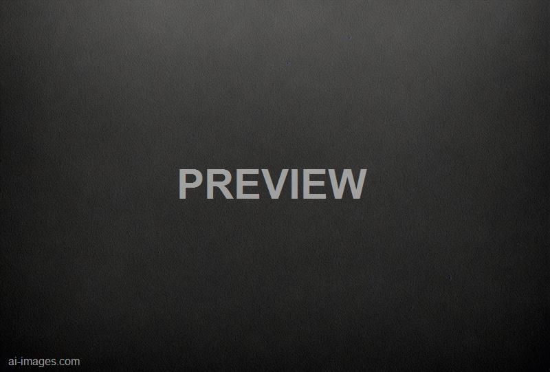 freepik__panorama-of-black-leather-texture-and-background__11729_250525210321_00001