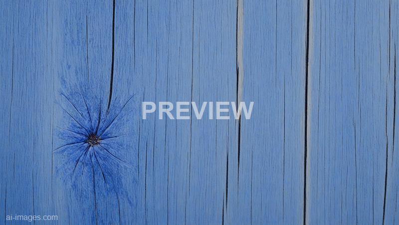 freepik__closeup-of-cornflower-blue-wood-texture-macro-phot__82618_250928022507_00001